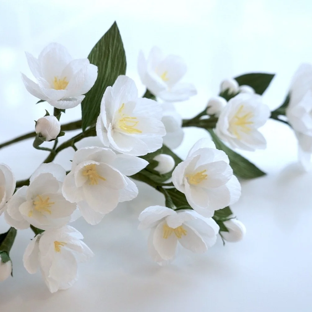 Cluster of white paper jasmine flowers with yellow centers and green leaves handmade by Jasmine Sing, paper artist from Merremade.
