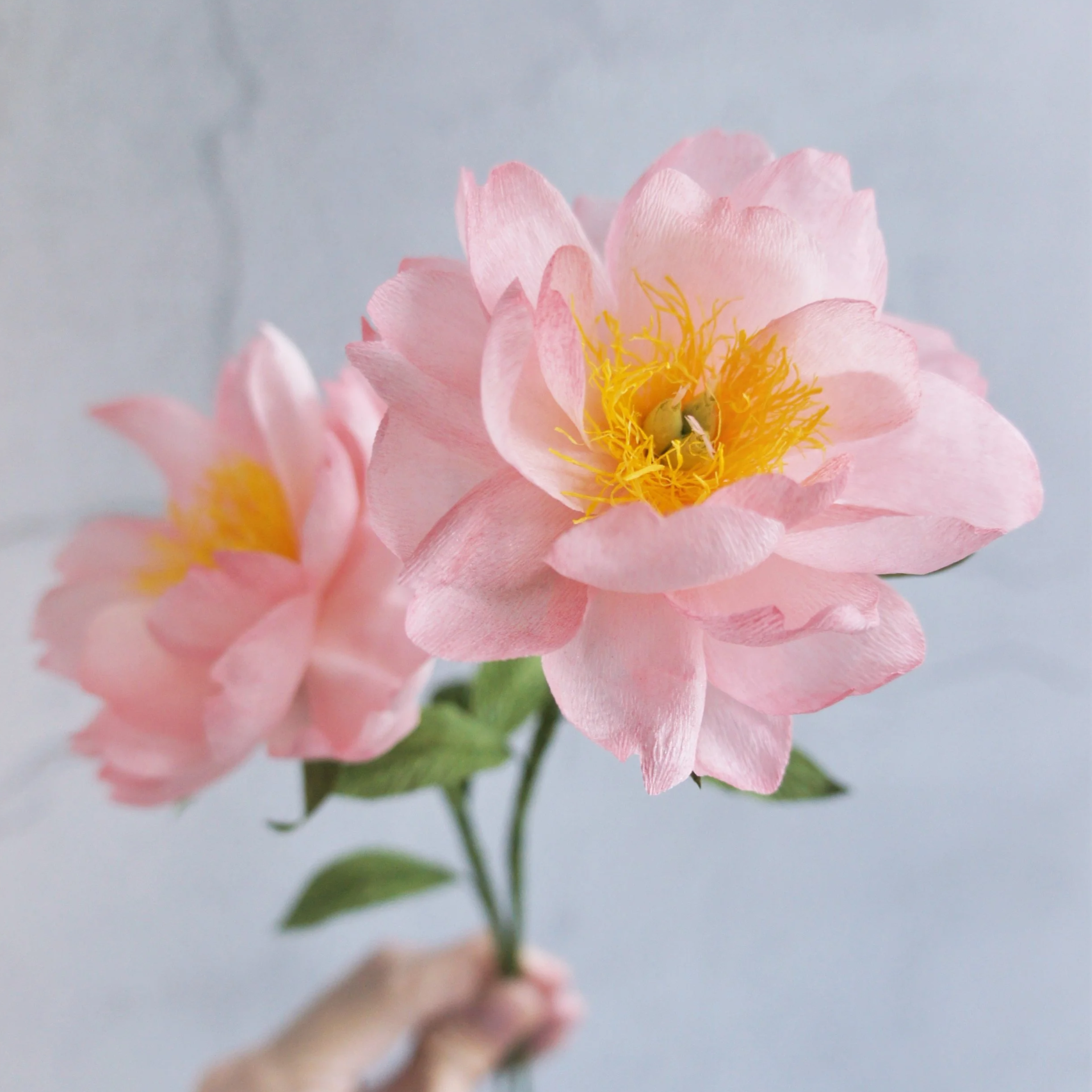 Close-up of a pink realistic paper flower handmade by Jasmine Sing, paper artist from Merremade.