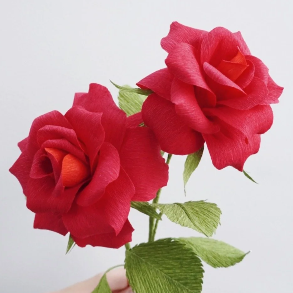 Two red realistic paper roses with green leaves handmade by Jasmine Sing, paper artist from Merremade.