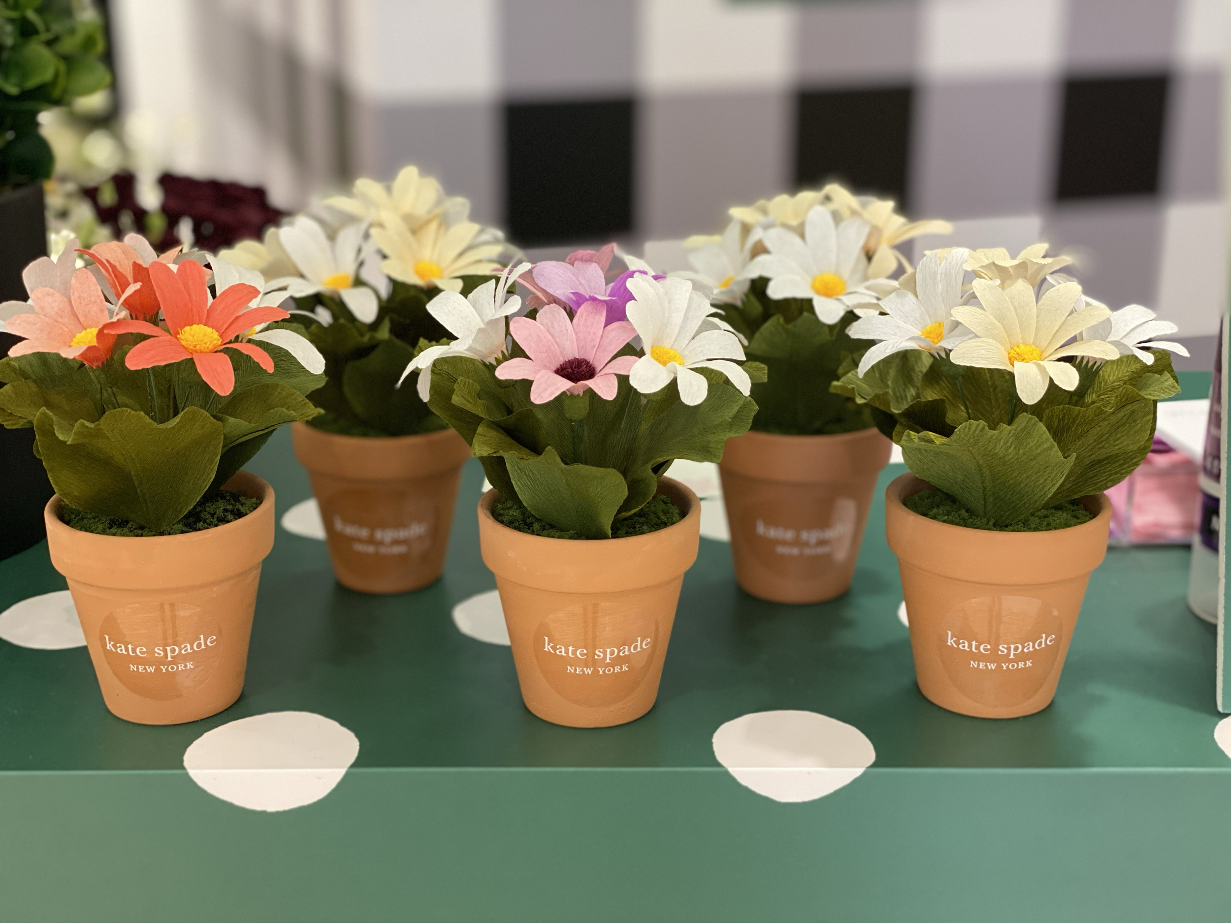 Small terracotta pots labeled "kate spade NEW YORK" filled with paper daisy flowers.