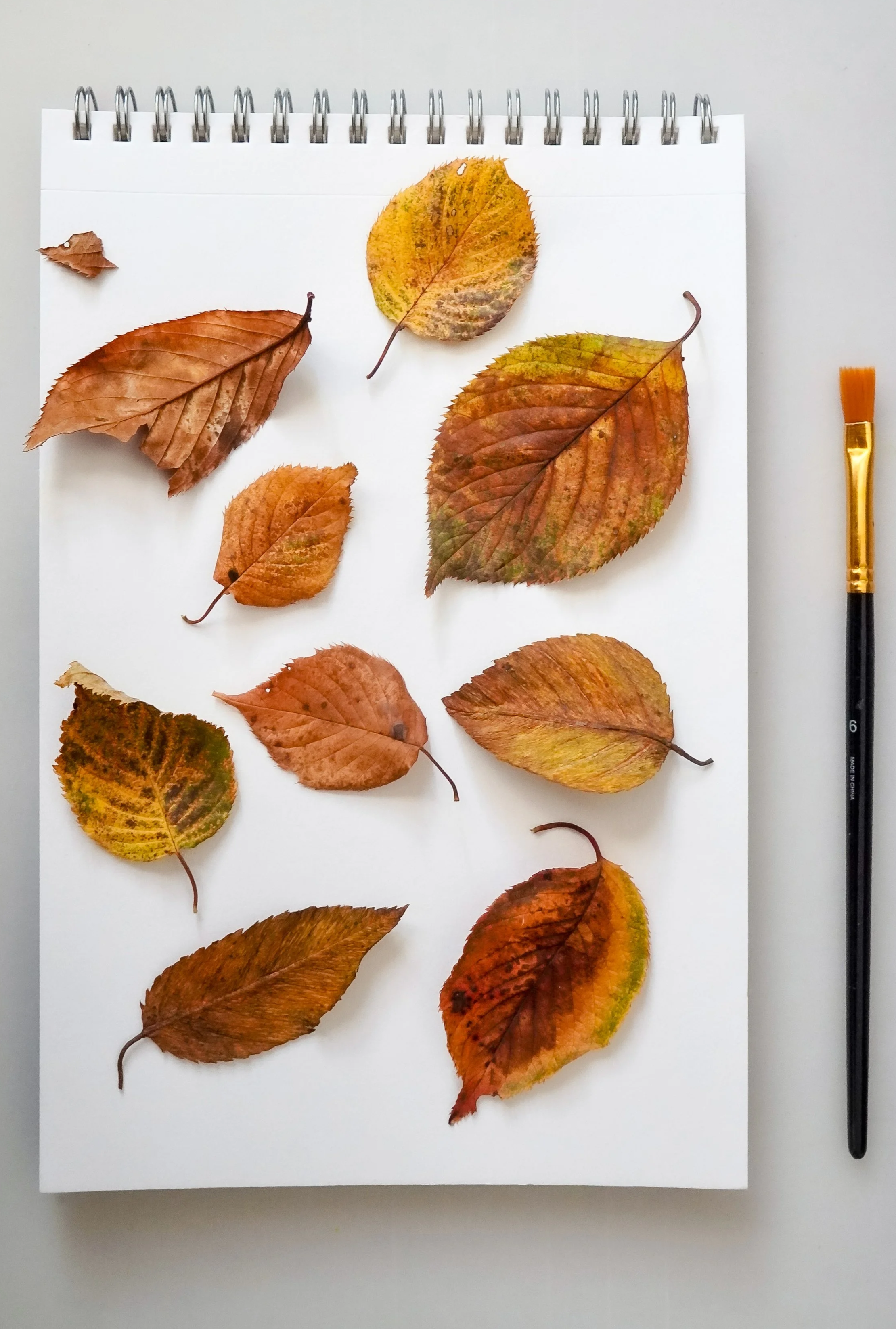 Various handmade dried paper autumn leaves arranged on a white notepad with a black handle paintbrush beside it.
