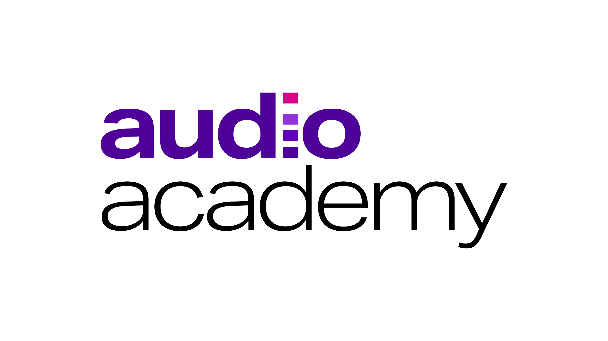 Logo of Audio Academy with the word 'audio' in purple and 'academy' in black outline.