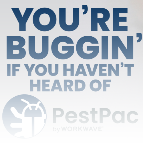 youre-buggin-gallery.png