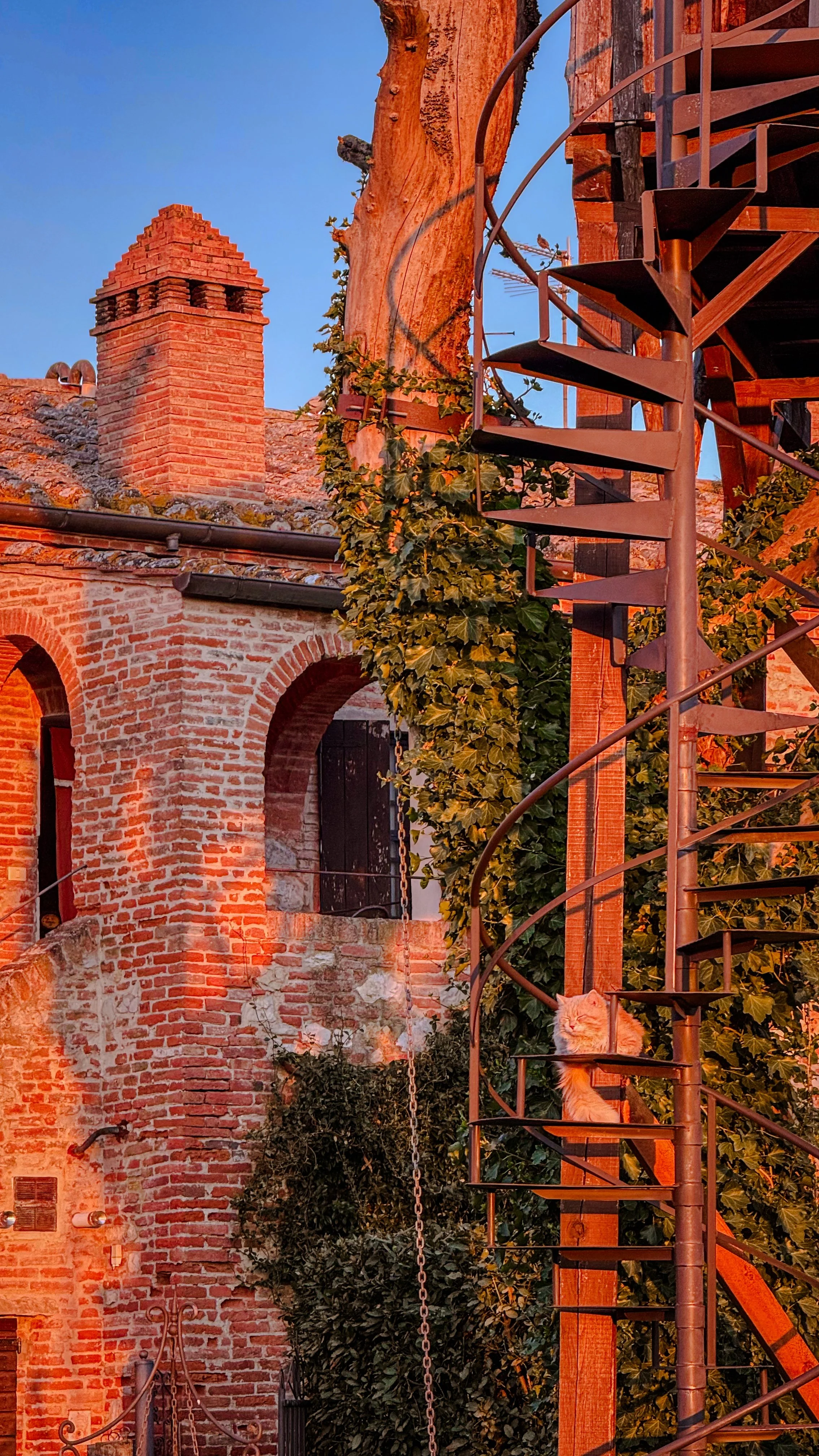 Visione di un cortile o giardino con una casa in stile rustico in mattoni, con una canna fumaria su un tetto di tegole, una scala a spirale in metallo e un gatto bianco seduto sul legno della scala. C'è anche una pianta rampicante e un grande albero.