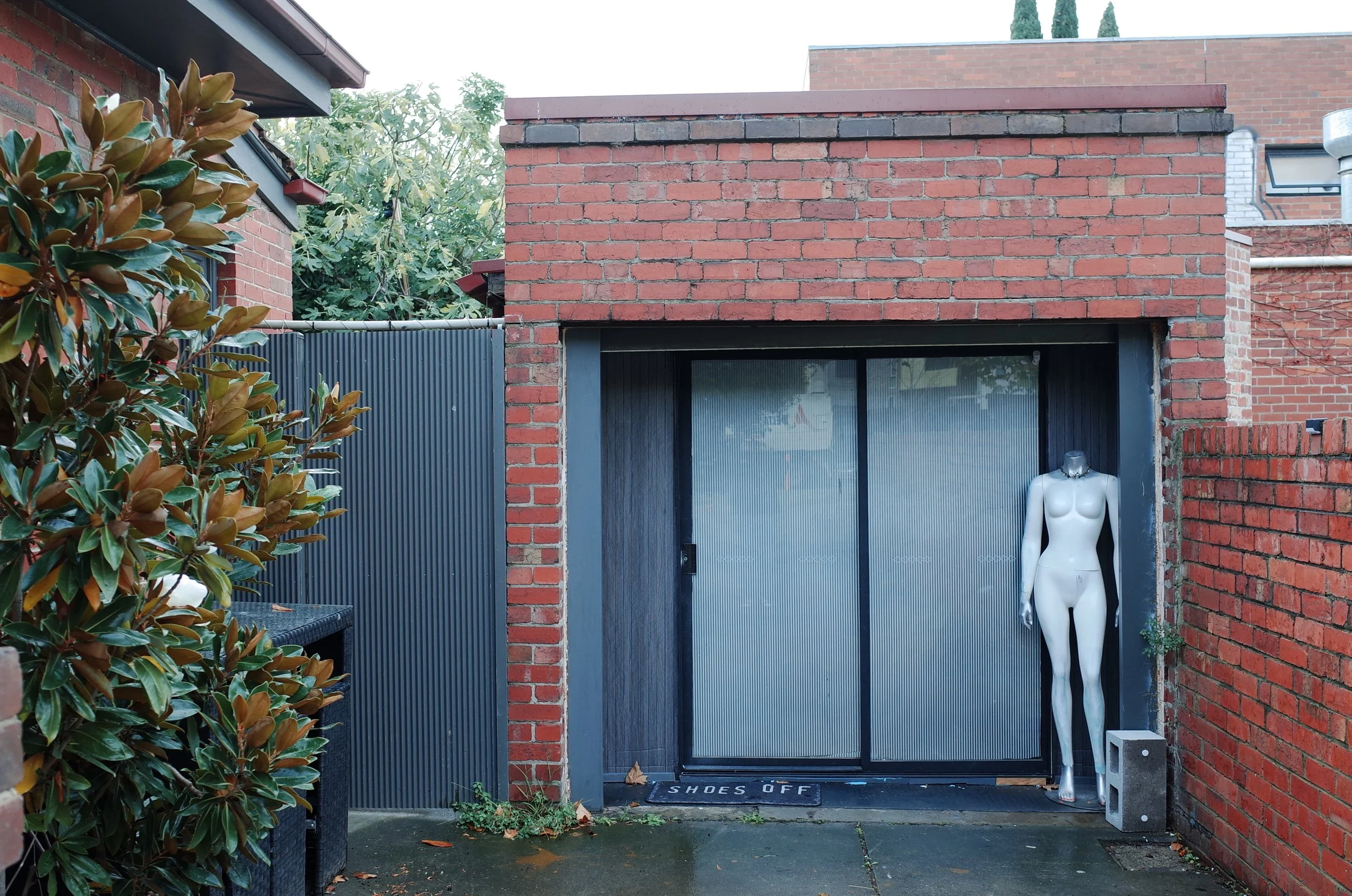 Entry 1: The Birth of the Shed