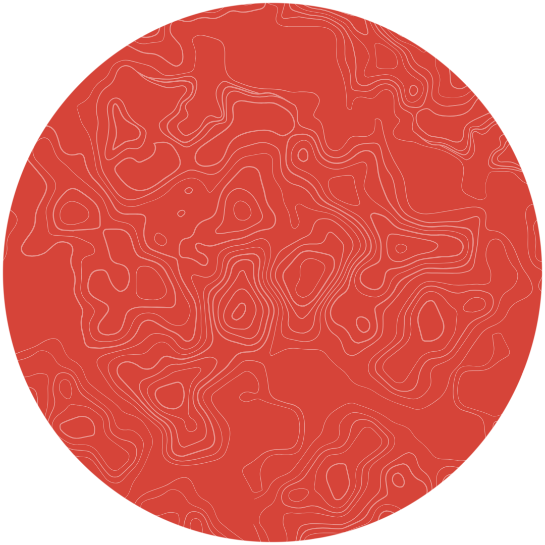 dark orange circle Revenue Management title