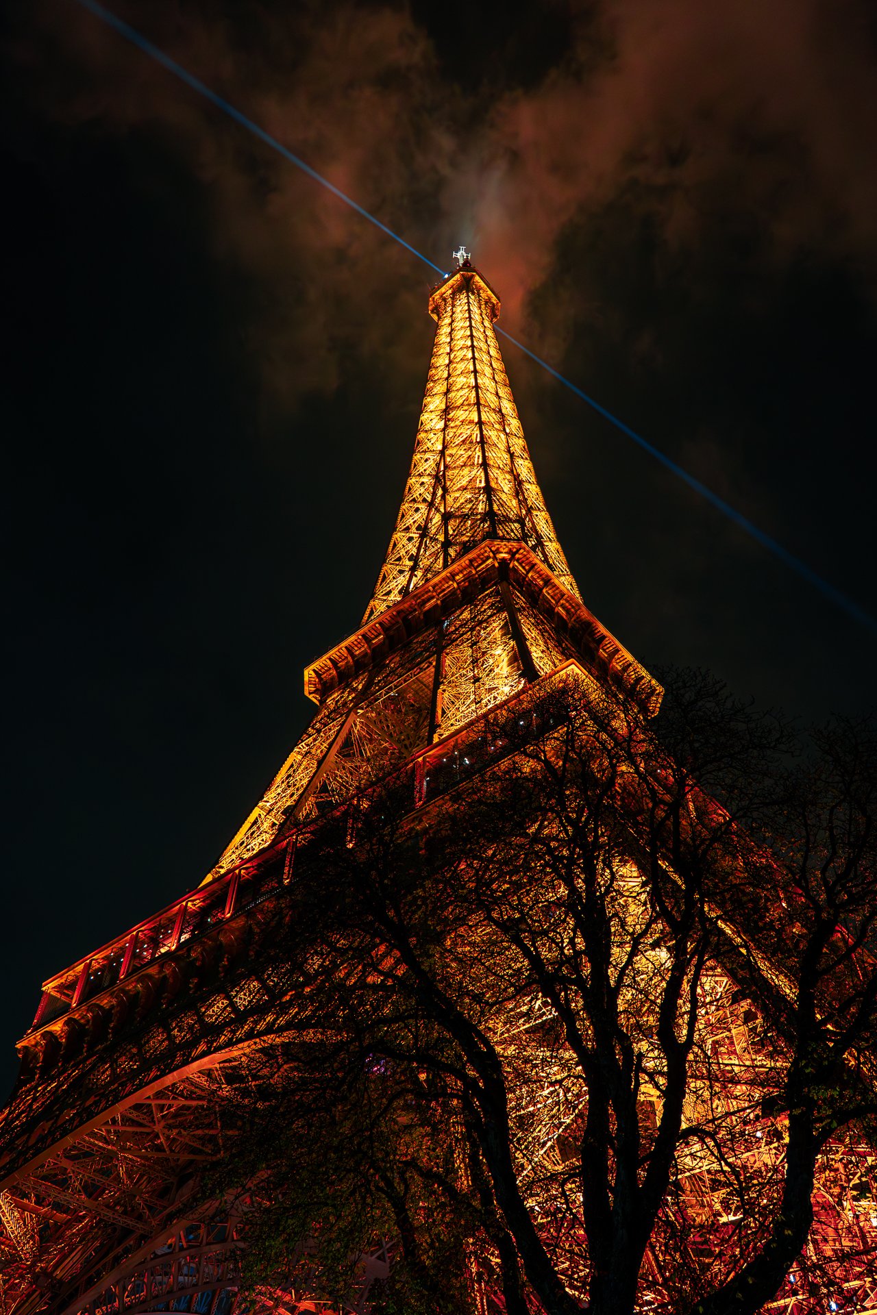 Eiffel Tower illuminated at night with beam of light and tree silhouette