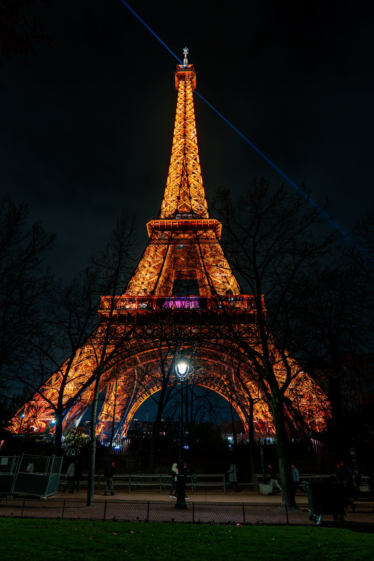 Eiffel Tower illuminated at night with trees in the foreground.