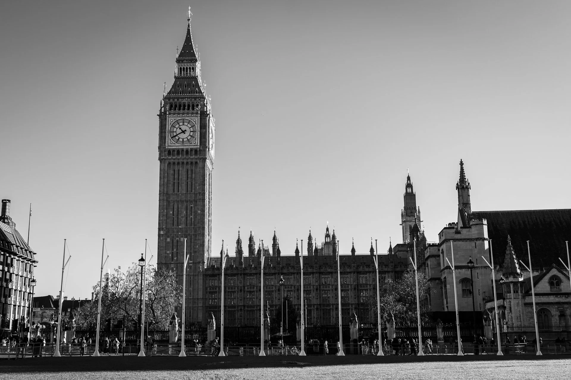 P1038973.jpg