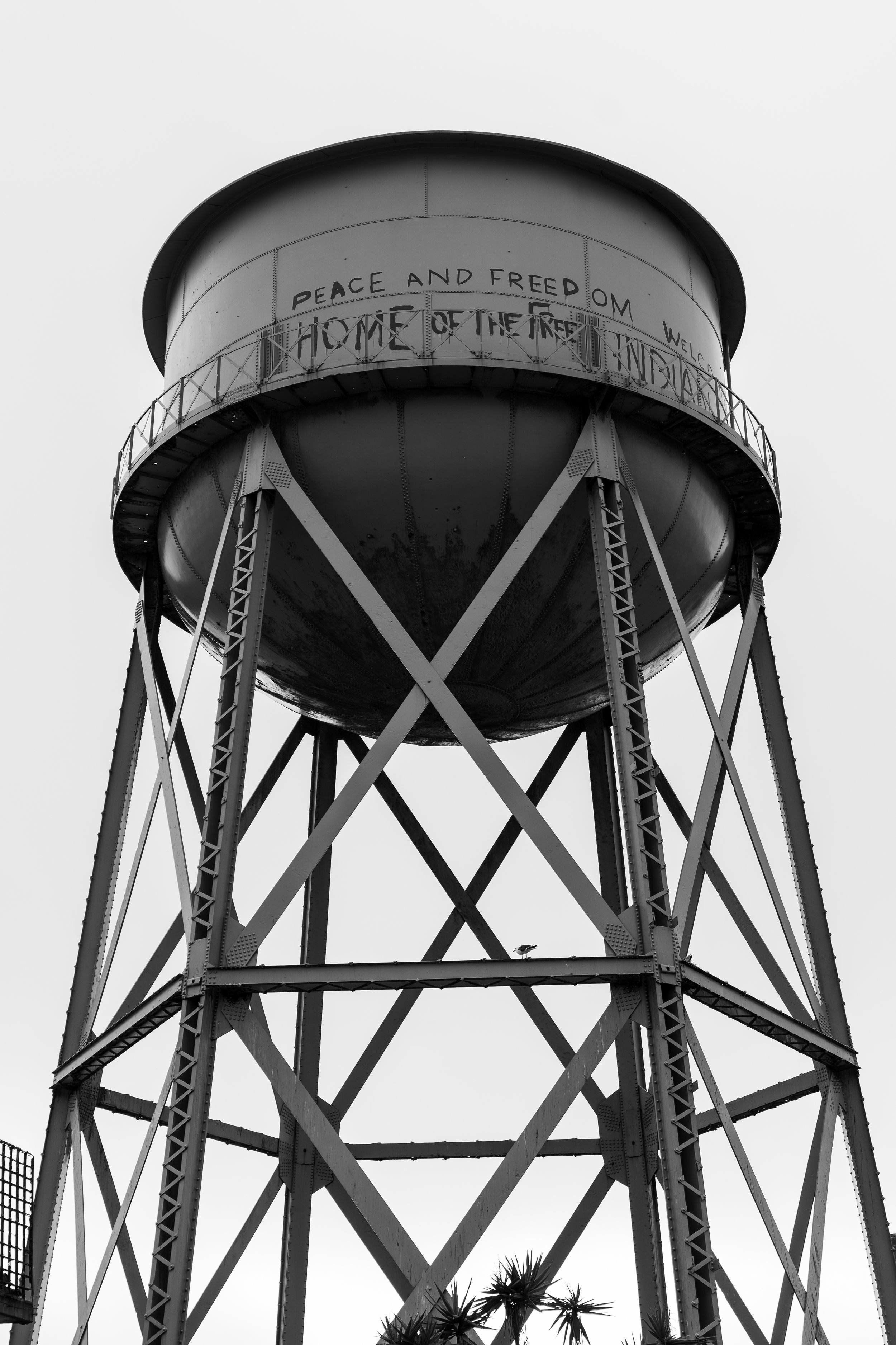Black and white photo of a water tower with "Peace and Freedom, Home of the Free" graffiti on it. The structure has metal legs and X-shaped braces.