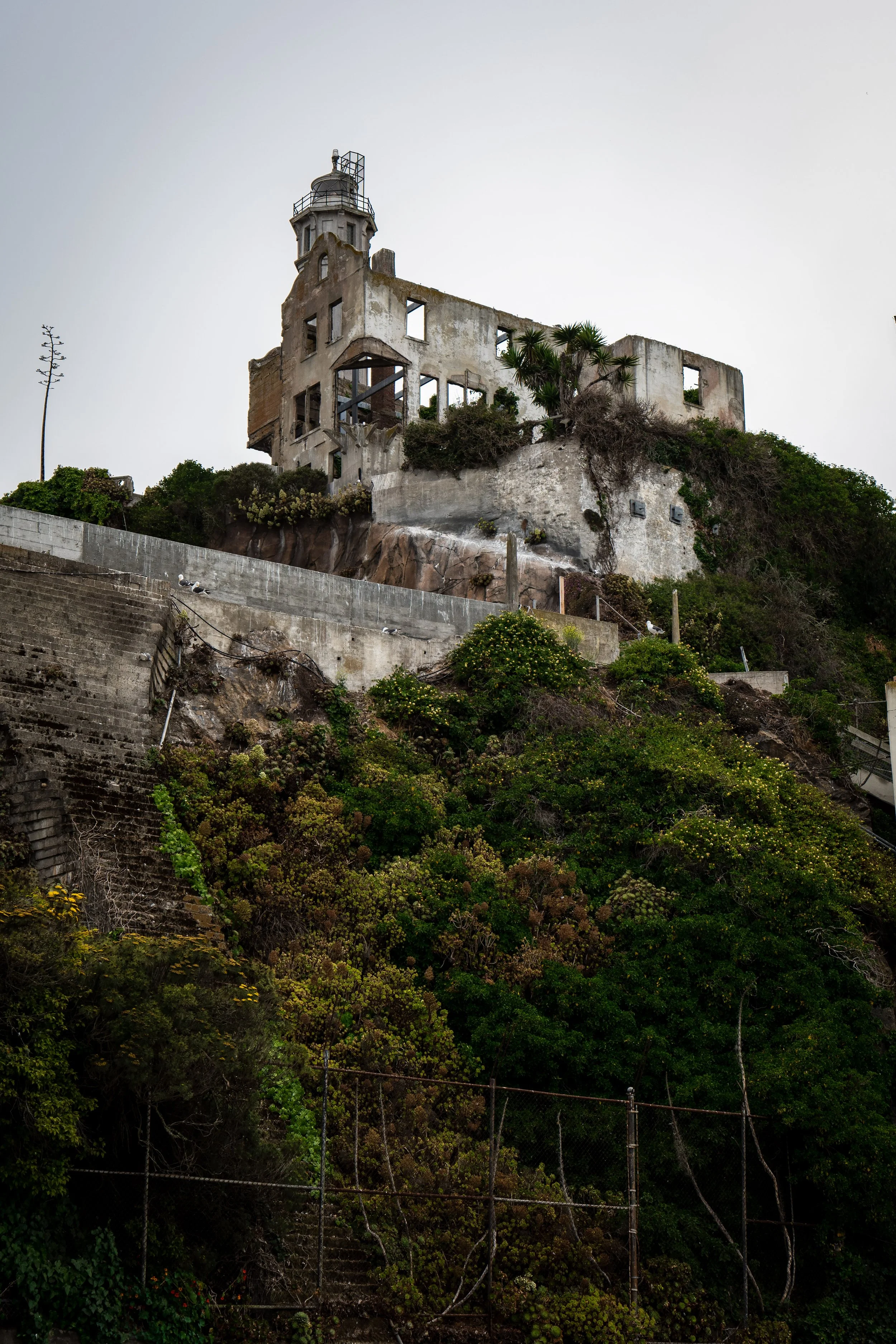Ruined building on a hill with overgrown vegetation