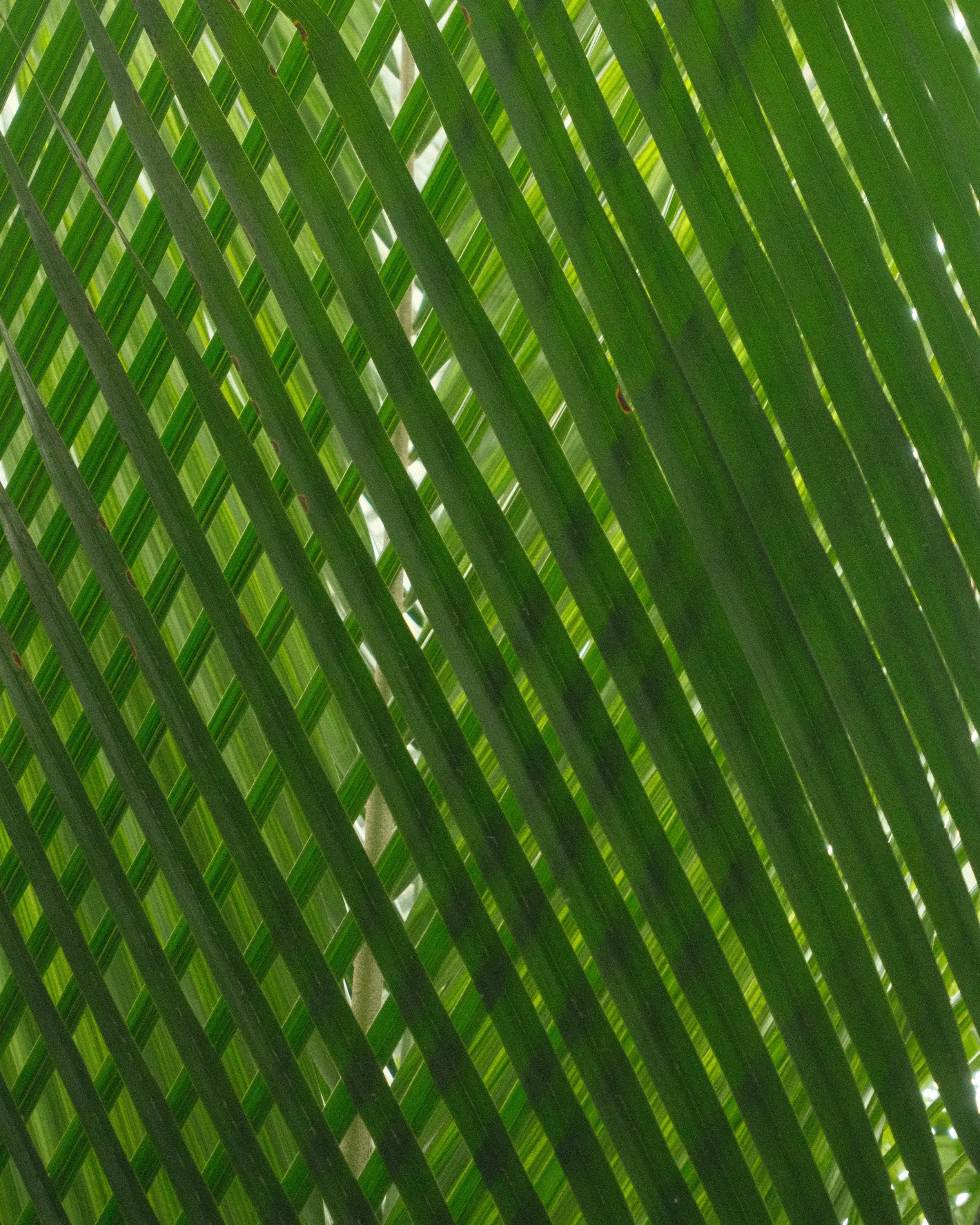 21AAE809-89BA-41D5-98A0-EE3E6E49E684-661-0000241C3103E2AD.jpeg