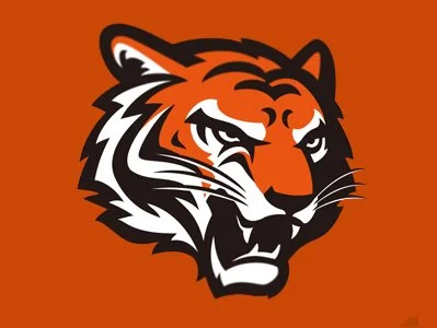 Illustration of a tiger's head logo with orange, black, and white colors on an orange background.