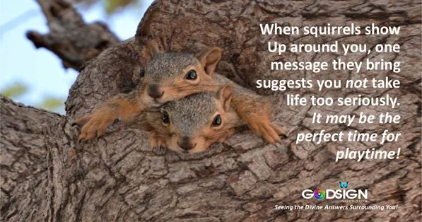 Play whenever you can!
#squirrel #godsignwithannie #GodSigns