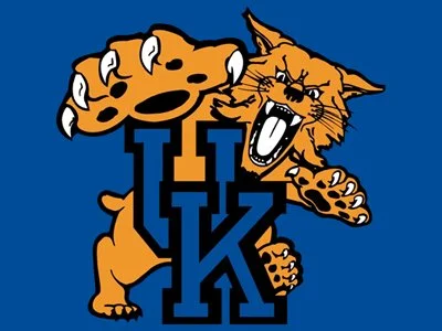 A cartoon mascot of a fierce orange lion with a paw raised, standing behind a large blue and black letter 'W' with an orange and black 'U' and 'K' inside it, set against a blue background.