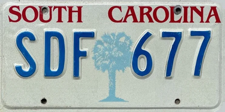 South Carolina license plate with the characters 'SDF 67' and a light blue palm tree in the center.