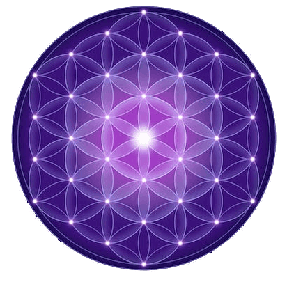 Bright purple geometric sphere with interconnected glowing lines forming a pattern