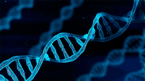 Digital illustration of a DNA double helix structure glowing blue against a dark background.
