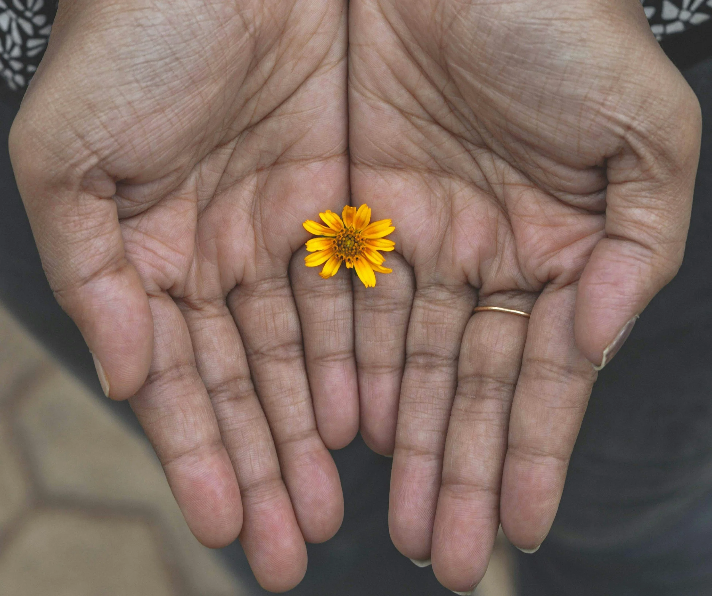 When Small Joys Become&nbsp;Everything