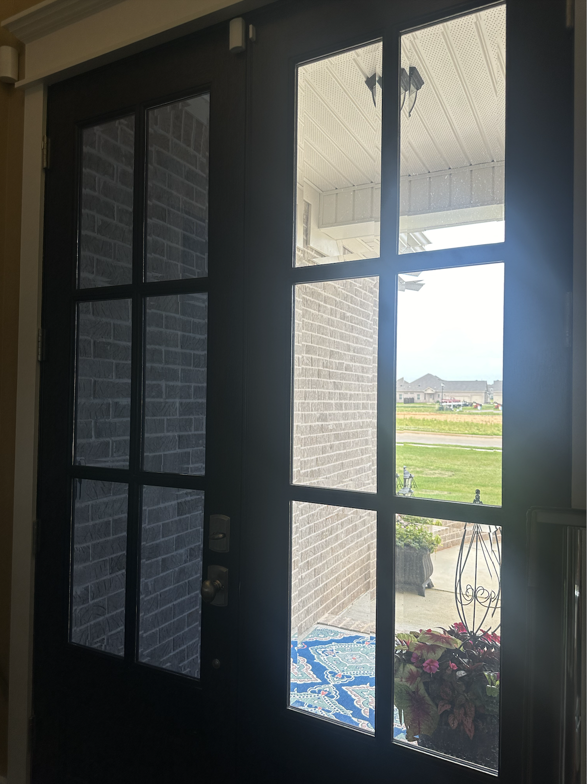 View through a black-framed glass door showing a brick porch with potted plants, a blue outdoor rug, and a backyard with grass and houses in the distance.