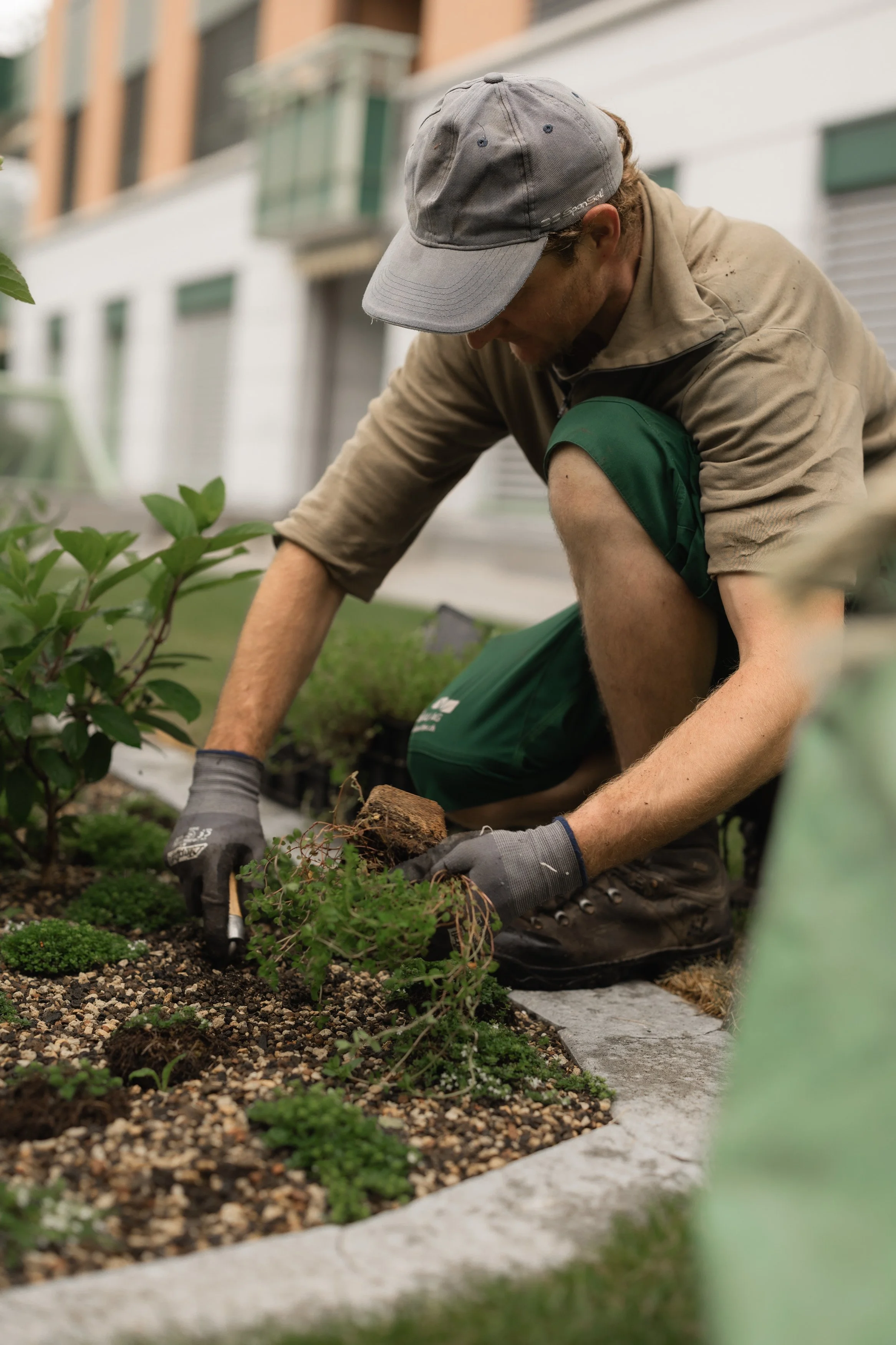 Gartenbau_Blättler-32.jpg