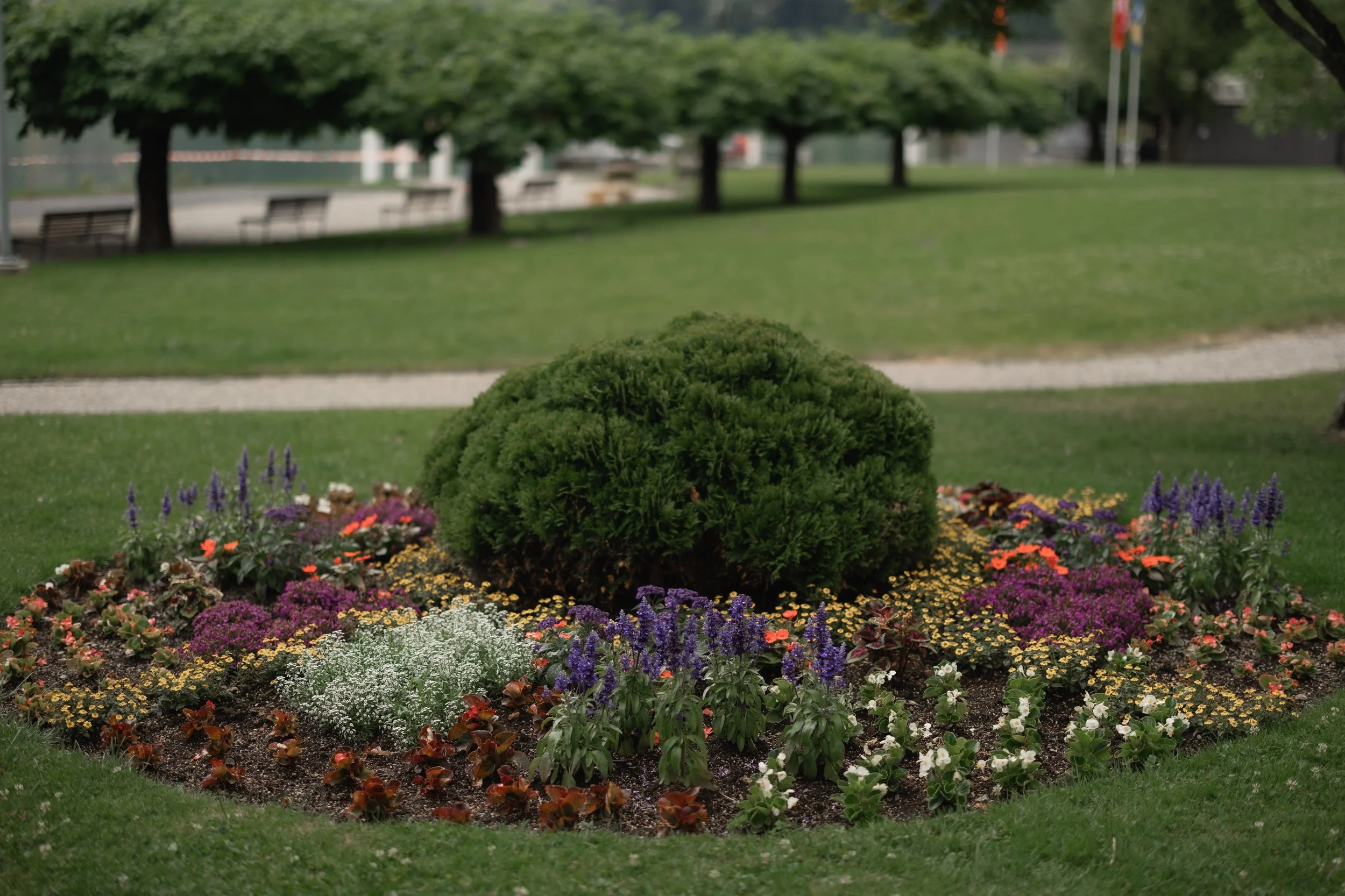Gartenbau_Blättler-134.jpg