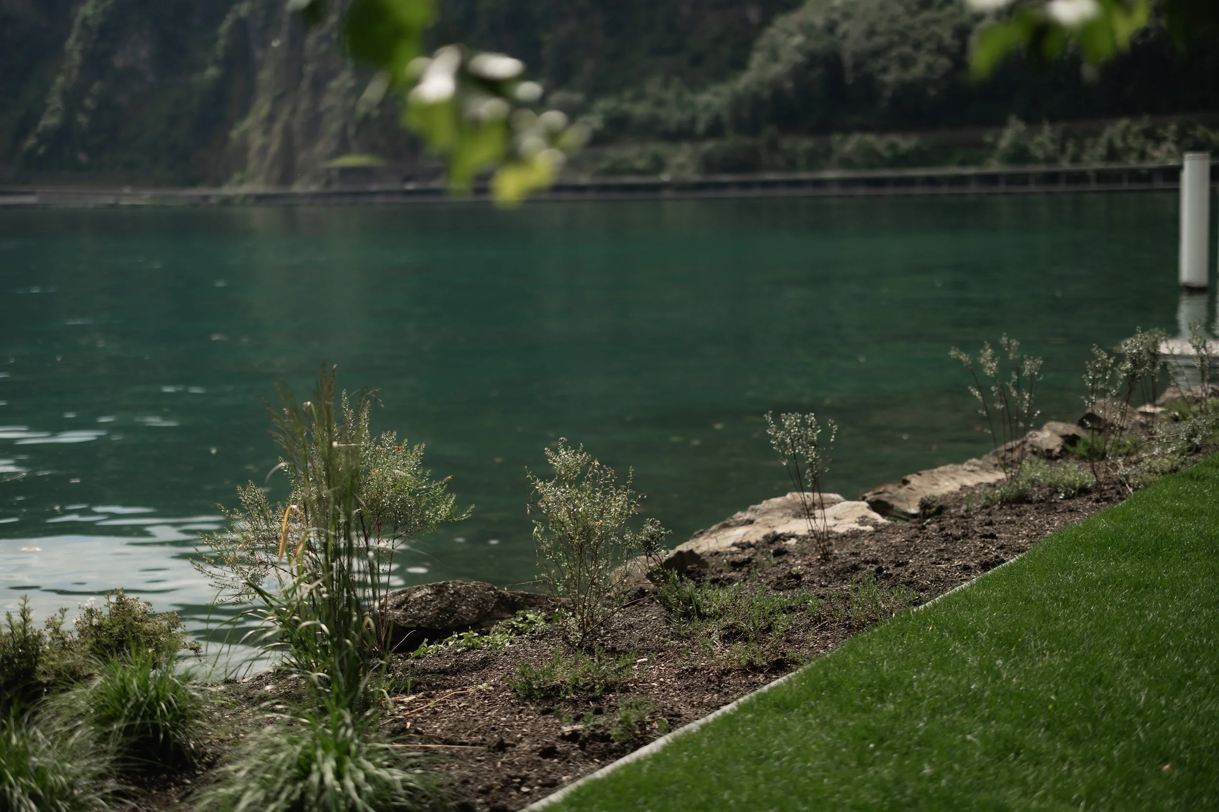 Gartenbau_Blättler-143.jpg