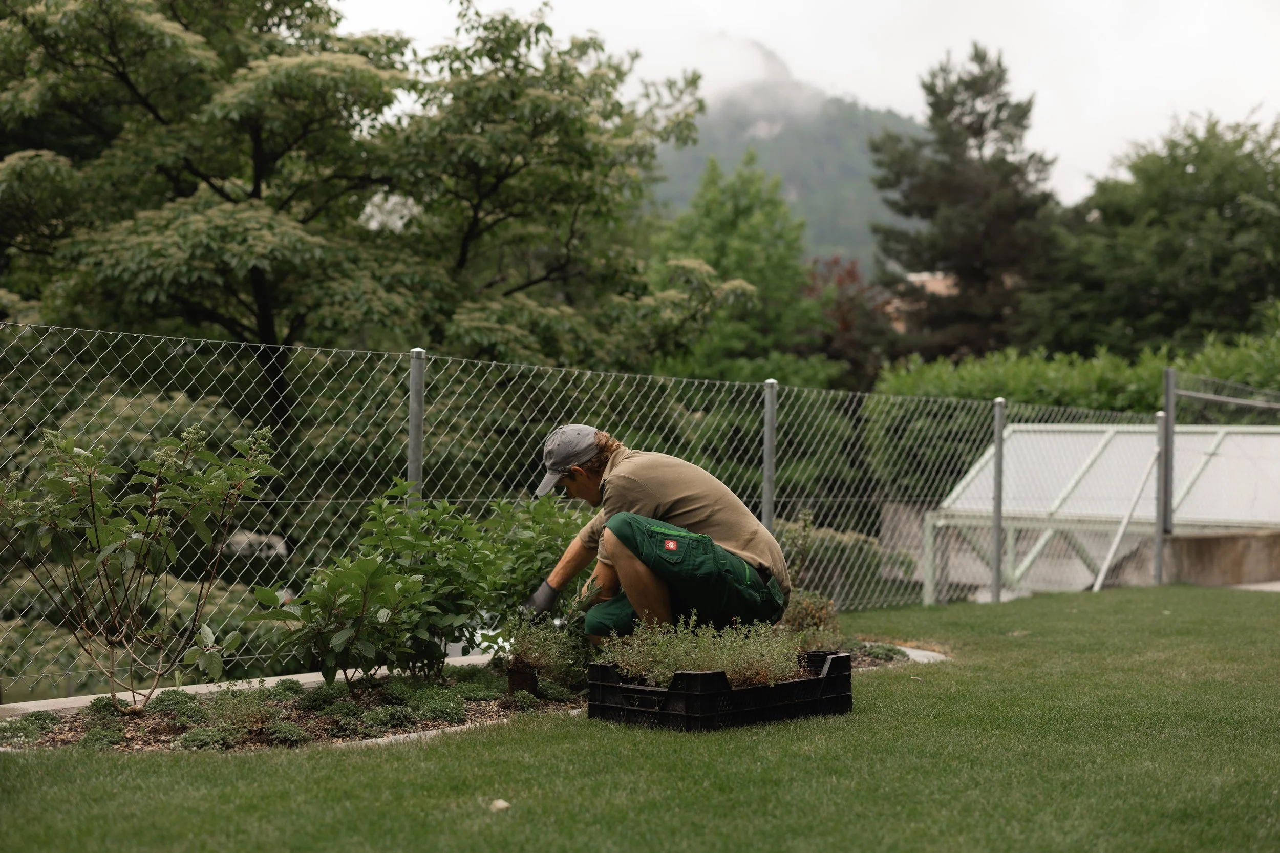 Gartenbau_Blättler-40.jpg