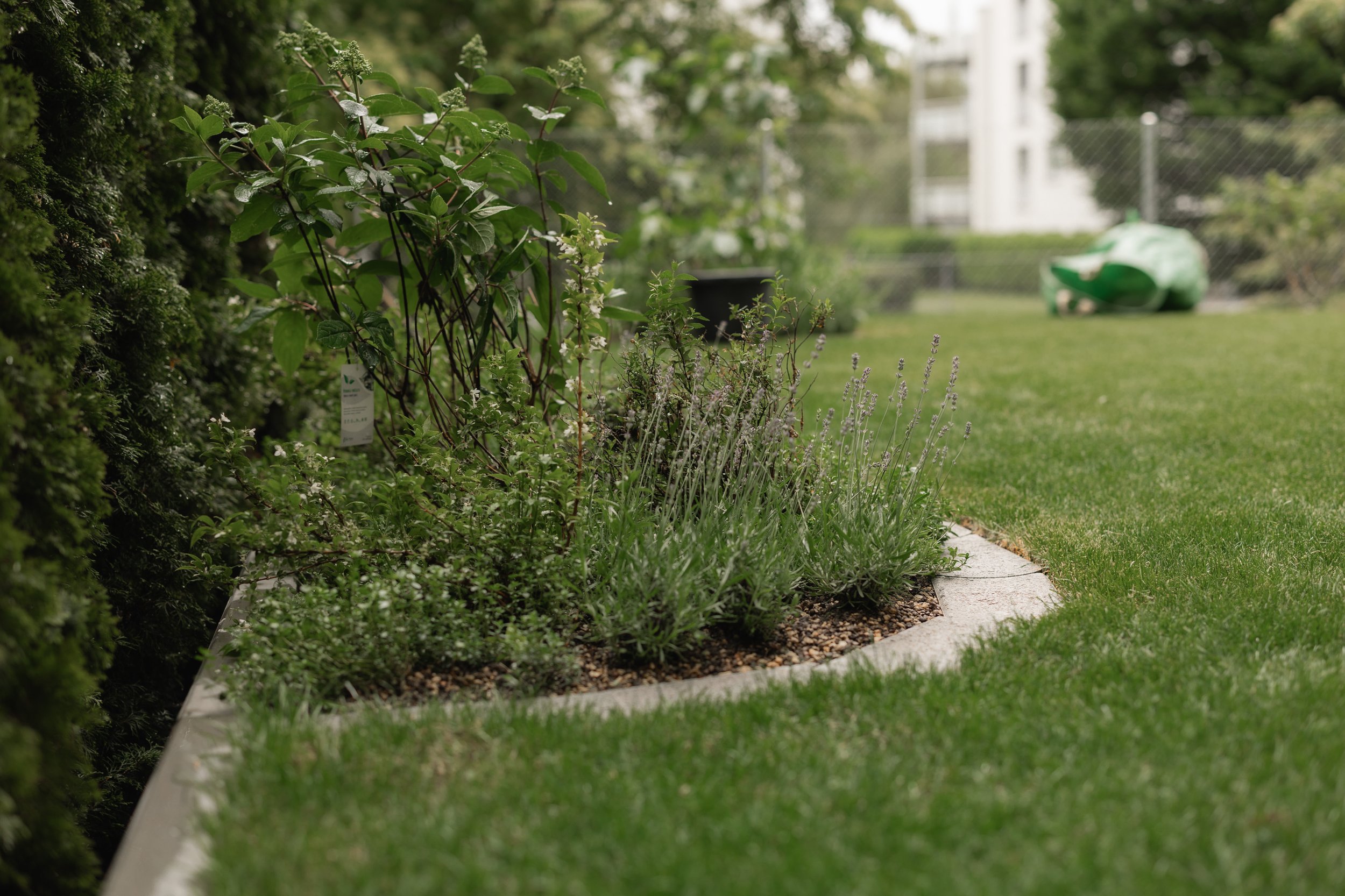 Gartenbau_Blättler-39.jpg