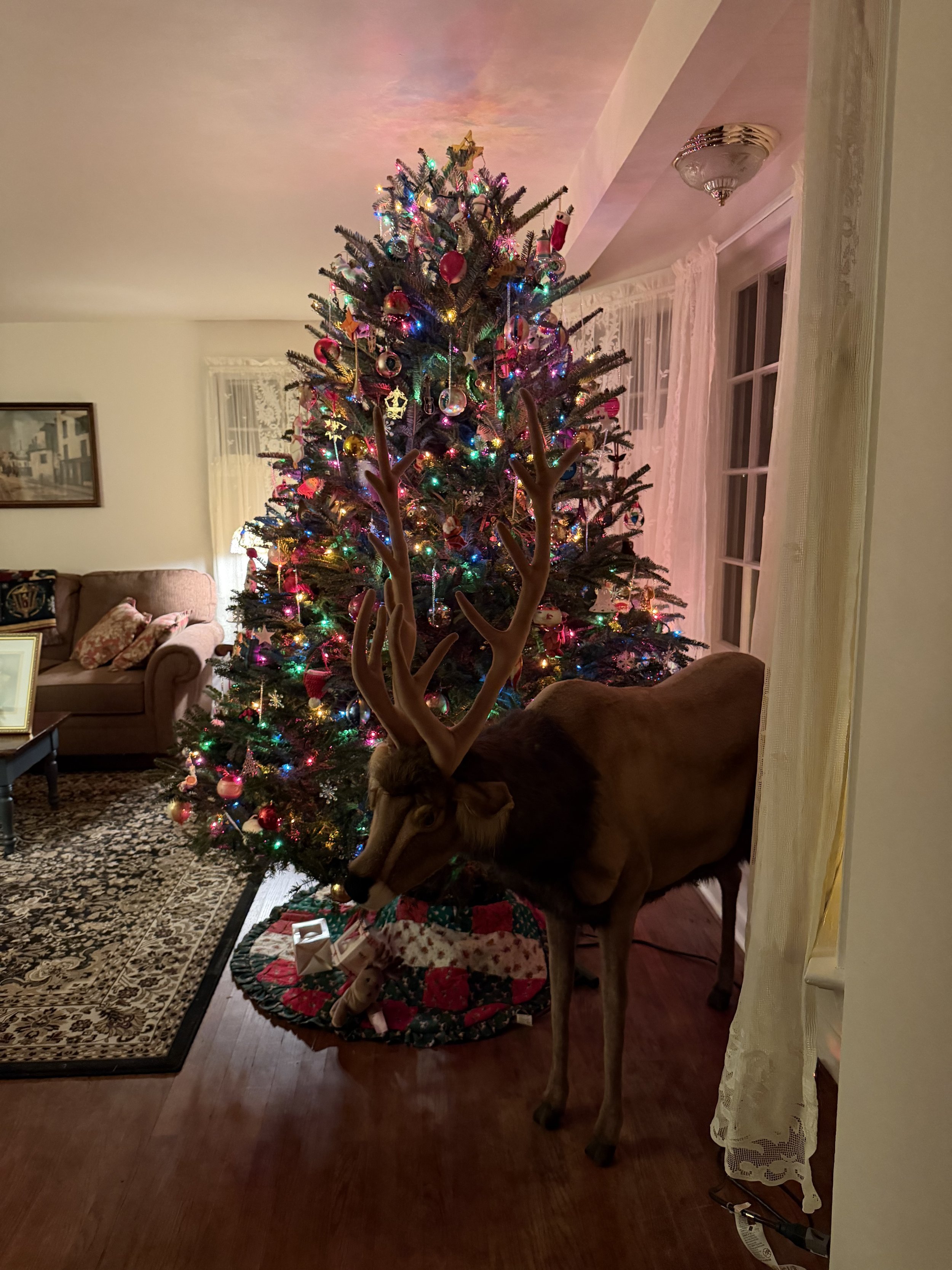 IMG_0928 (1).jpeg