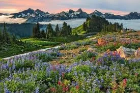 Summer Wellness Series: Part 1