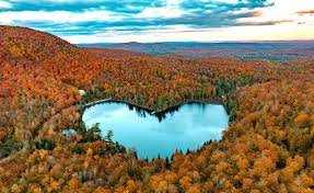 Fall Wellness Series: Part 1