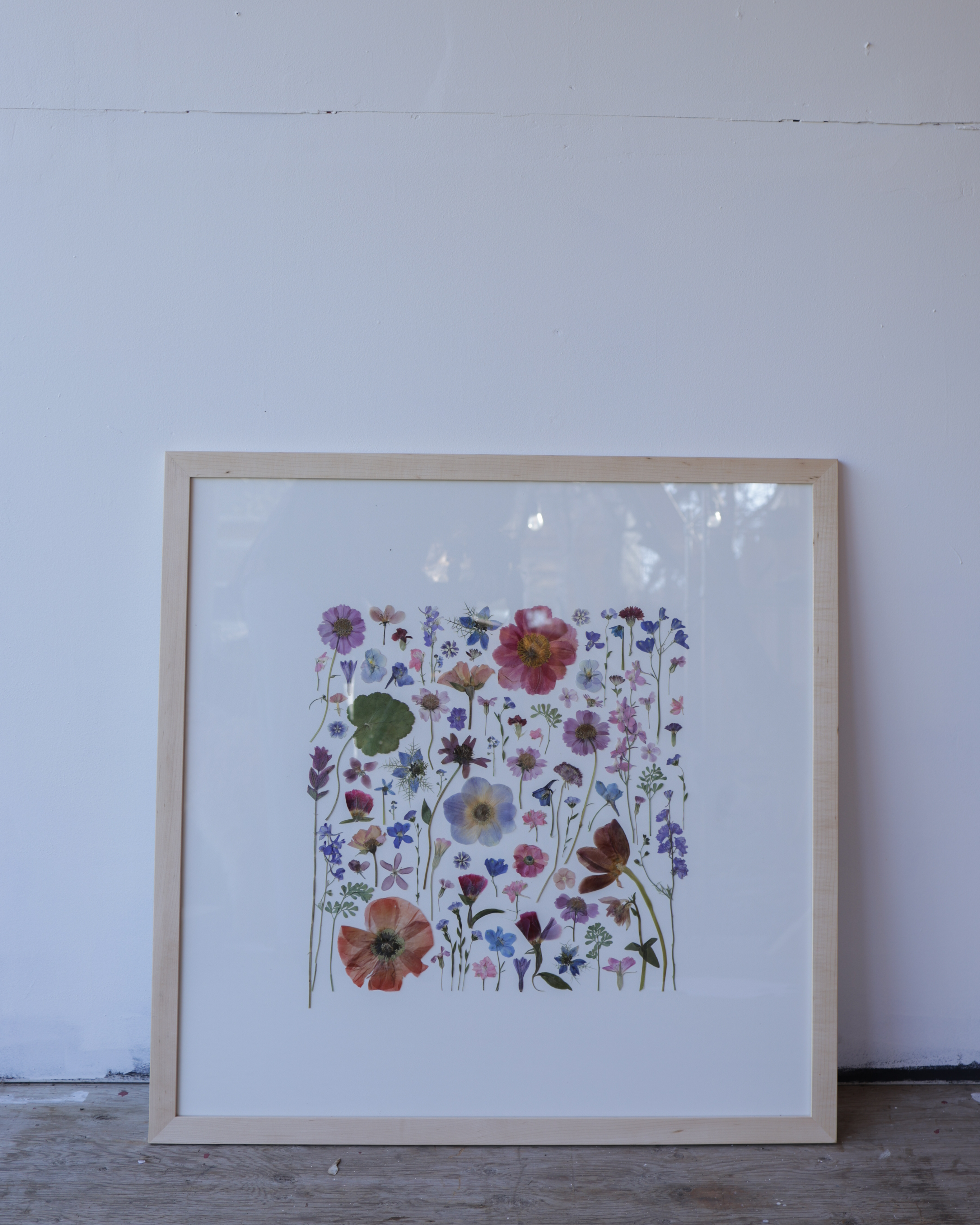 Flower Square in White - Ottawa, 2026