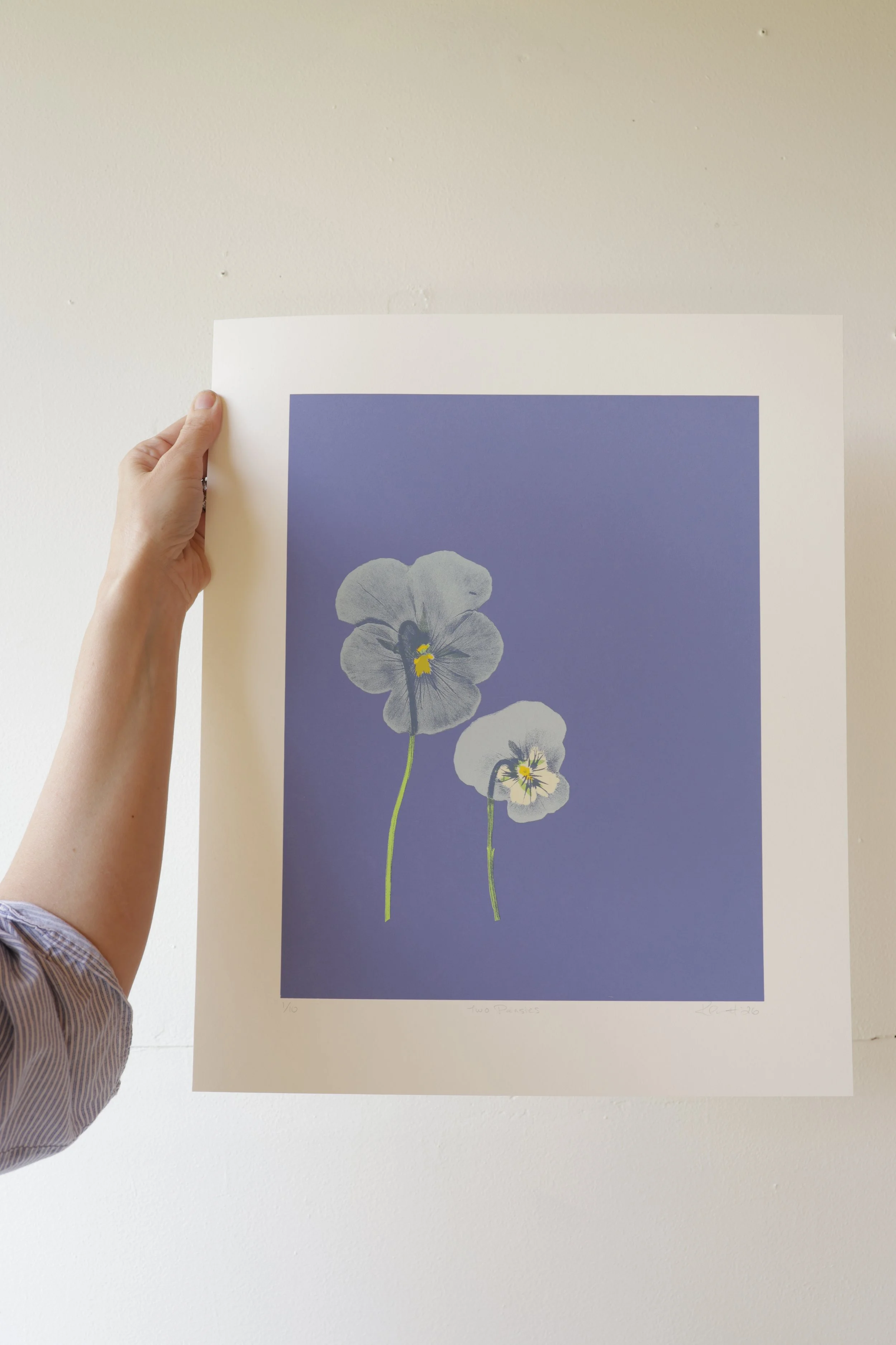 Two Pansies