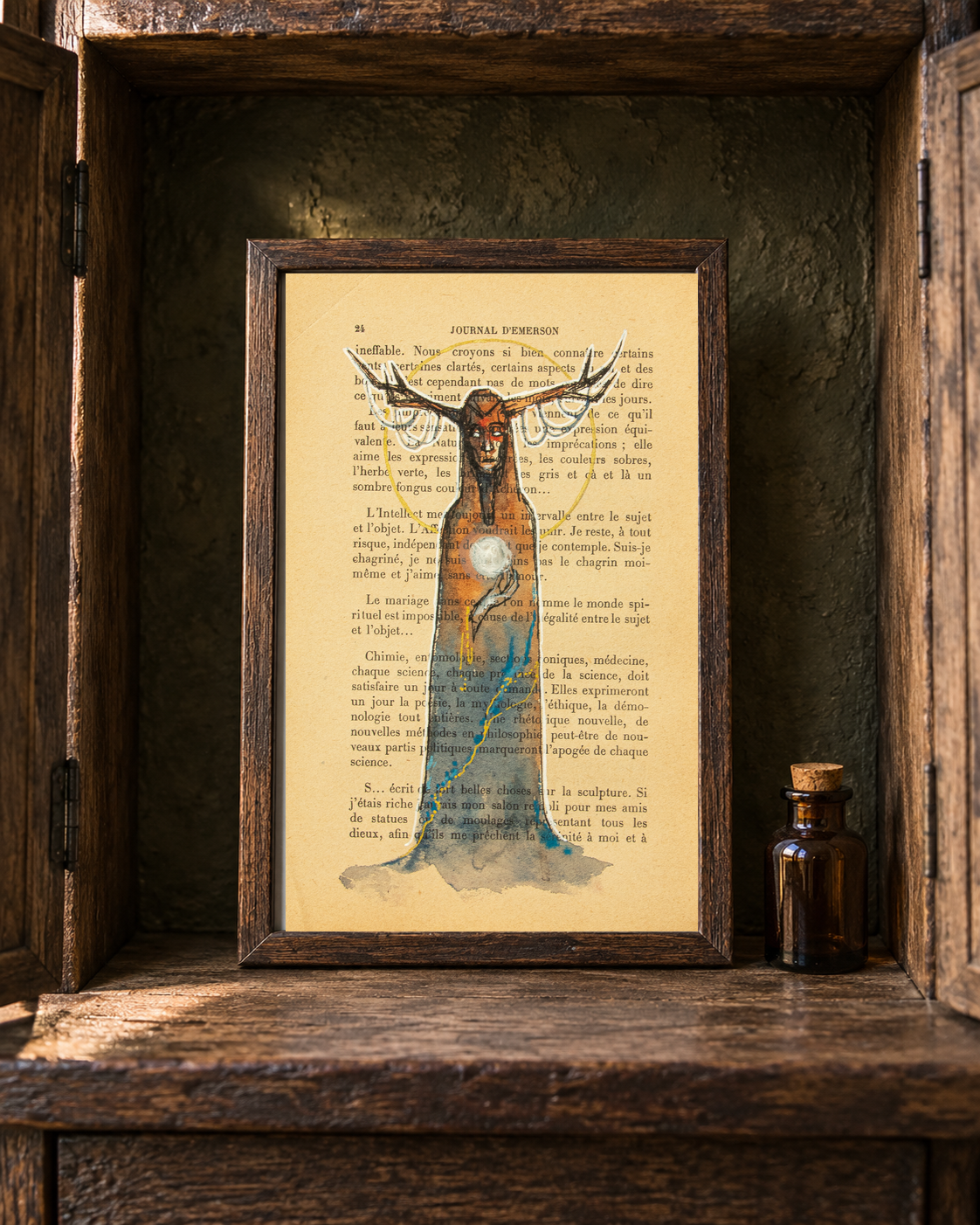 La sorcière des bois