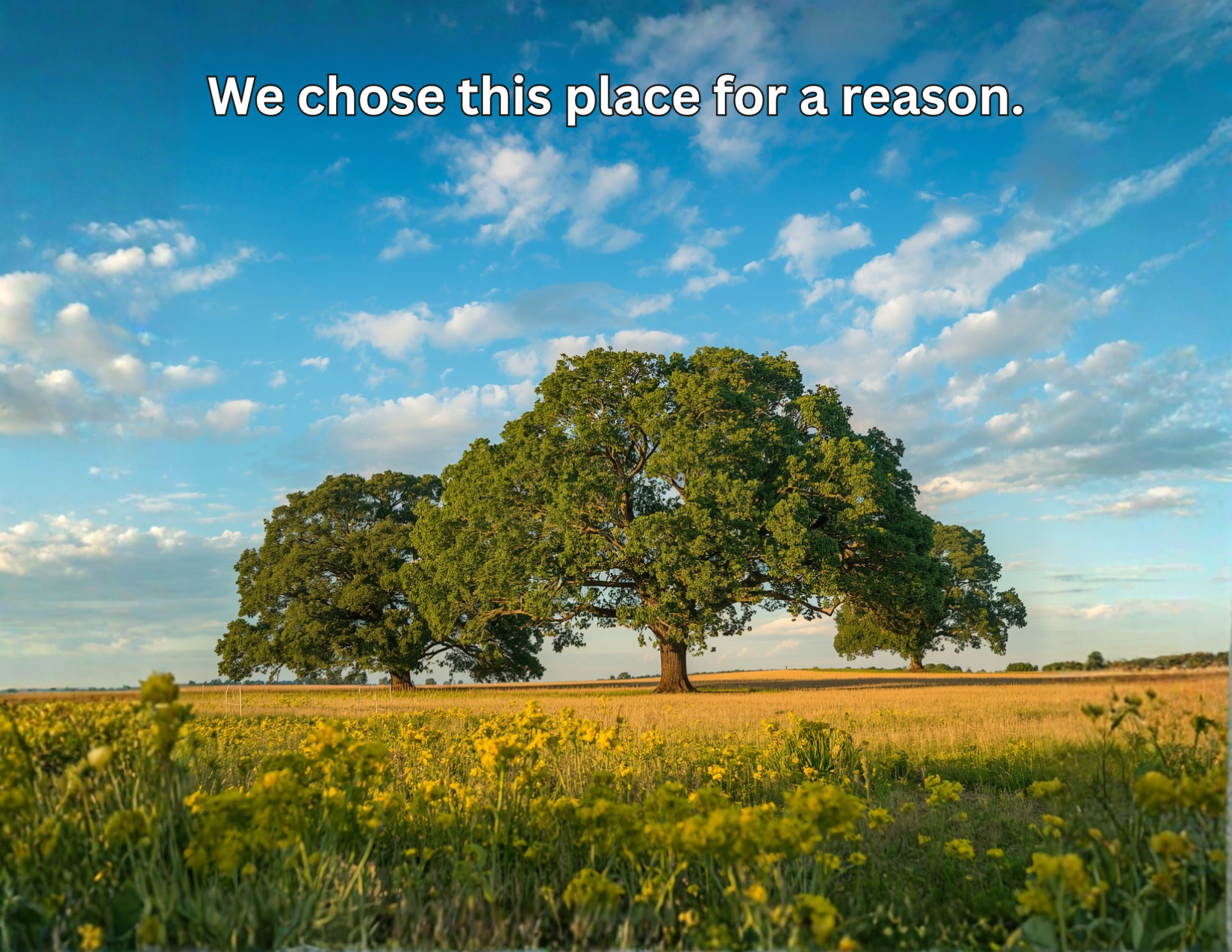 Farmlands: Flyer to Share