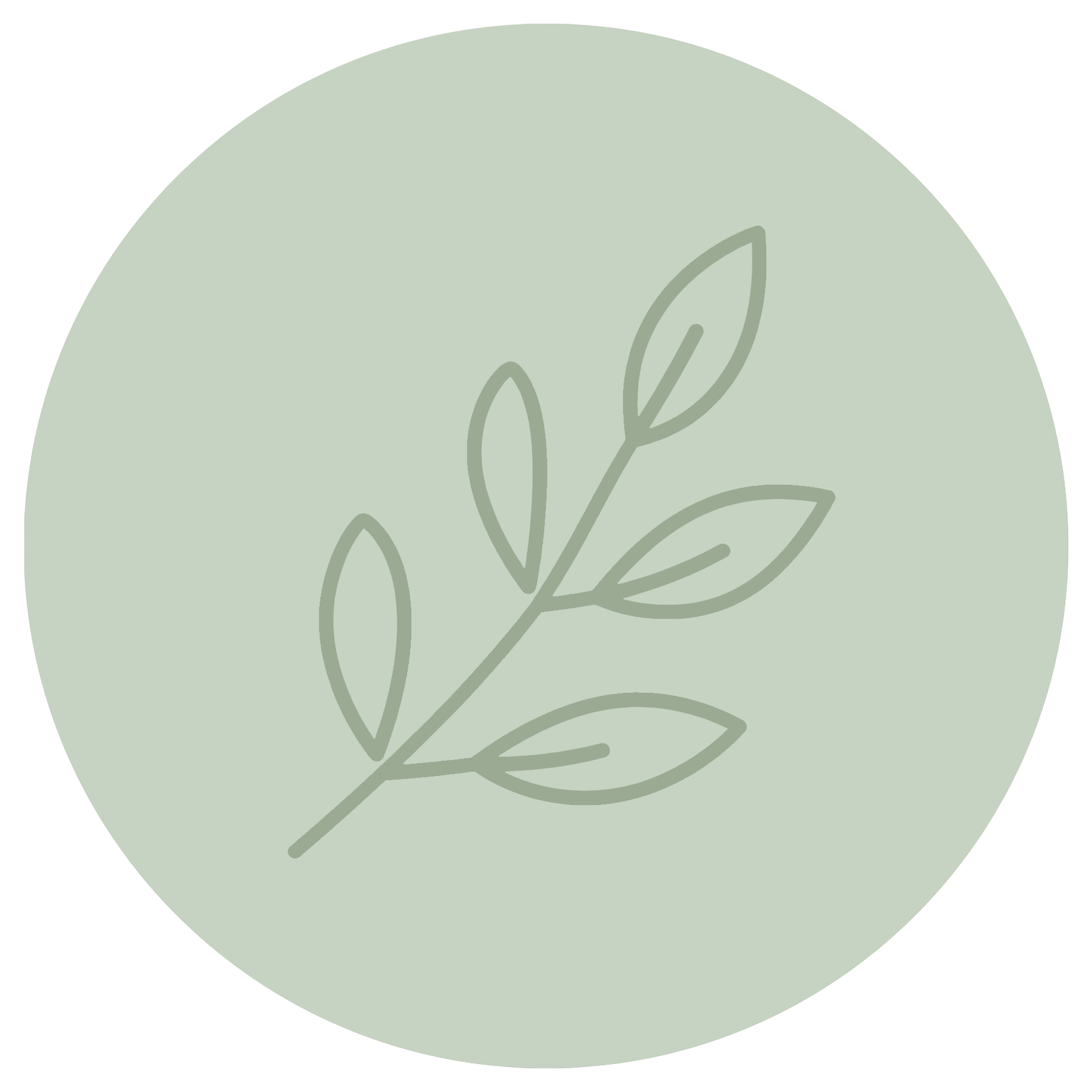 Light green circular background with a simple line drawing of a plant with leaves.