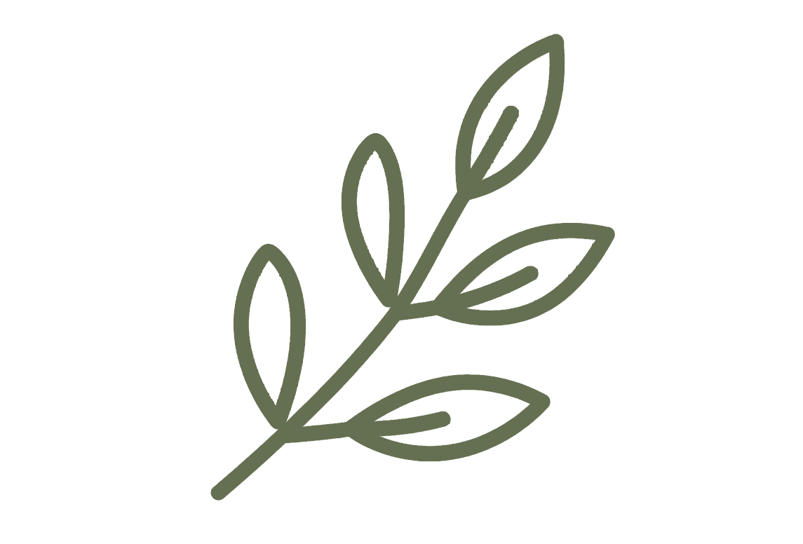 A simple illustration of a green olive branch with seven leaves.