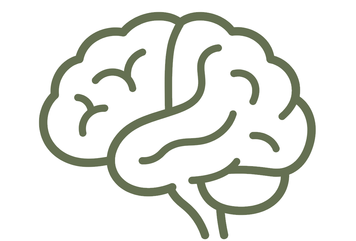 Simple line drawing of a human brain in green outline.