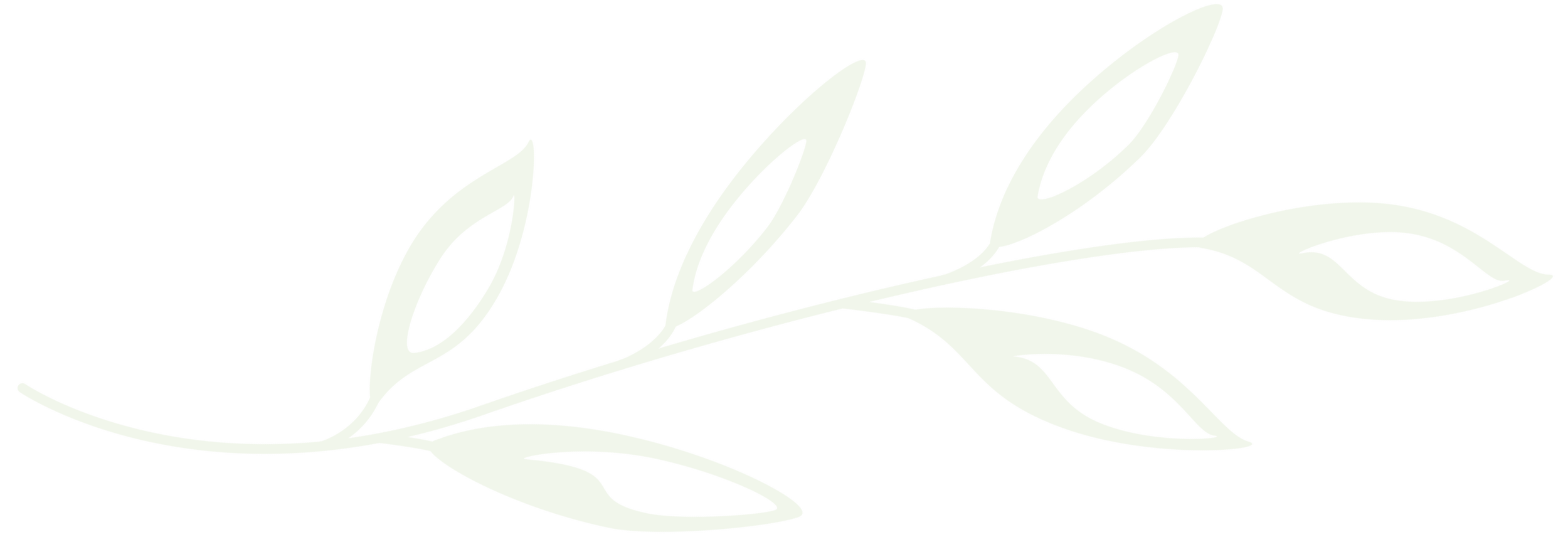 Simple white botanical line drawing with leaves and branches, on transparent background.