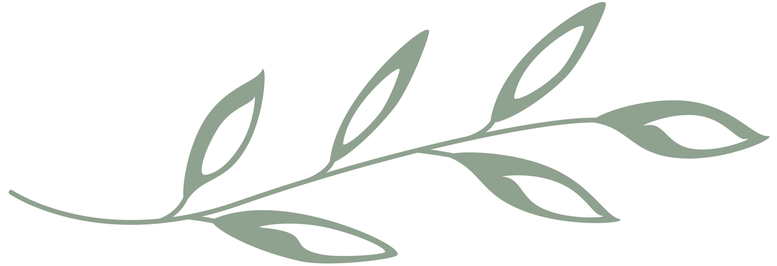 Stylized green botanical branch with leaves on a black background