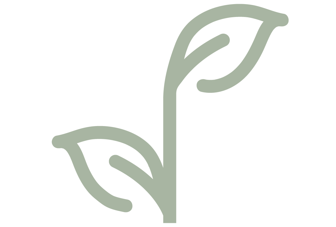 Minimalist icon of a plant with two leaves, representing eco-friendliness or sustainability.
