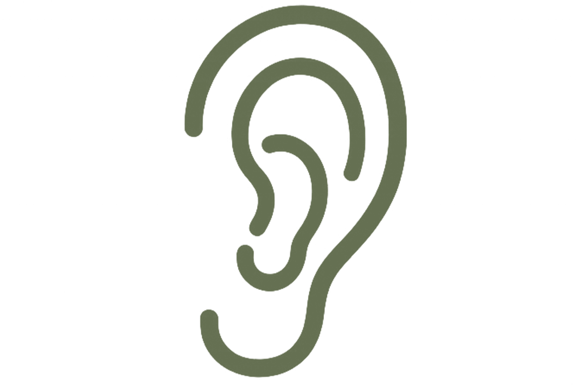 Outline drawing of a human ear.