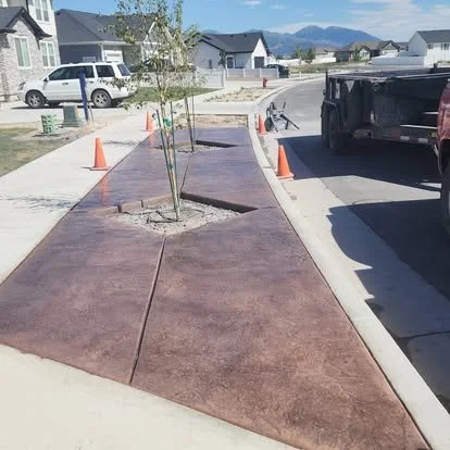 Decorative colored concrete walkway and driveway accent with a smooth finish, curved layout, and clean landscaping details.