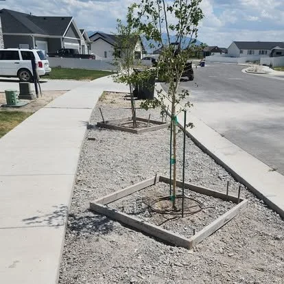 Finished concrete walkway and landscape border with clean edges, gravel accents, and a tree planter area near the curb.