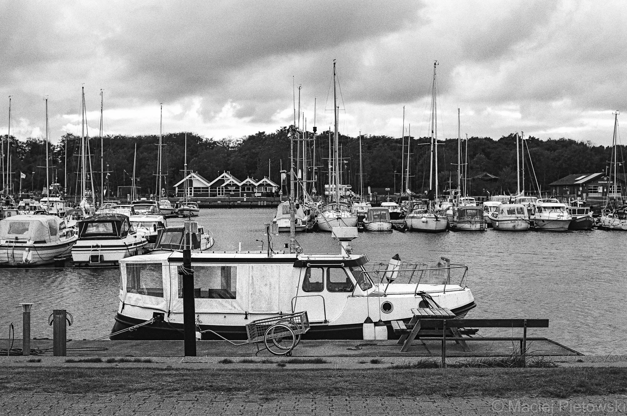 A black and white photo of a marina with several boats docked on calm water, with trees and cloudy sky in the background.