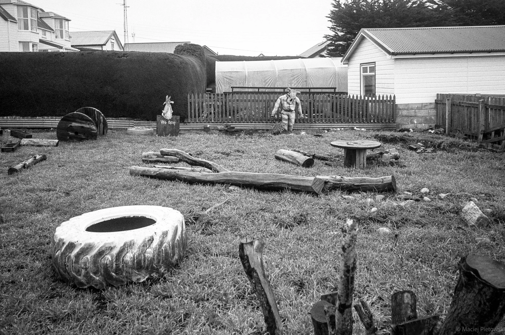 A backyard with a tree stump, wooden logs, and a tire on the grass. A small garden with a sign that says "Veg Patch" and a humanoid pig statue. In the background, there is a white house, a hooped structure, and neighboring houses.