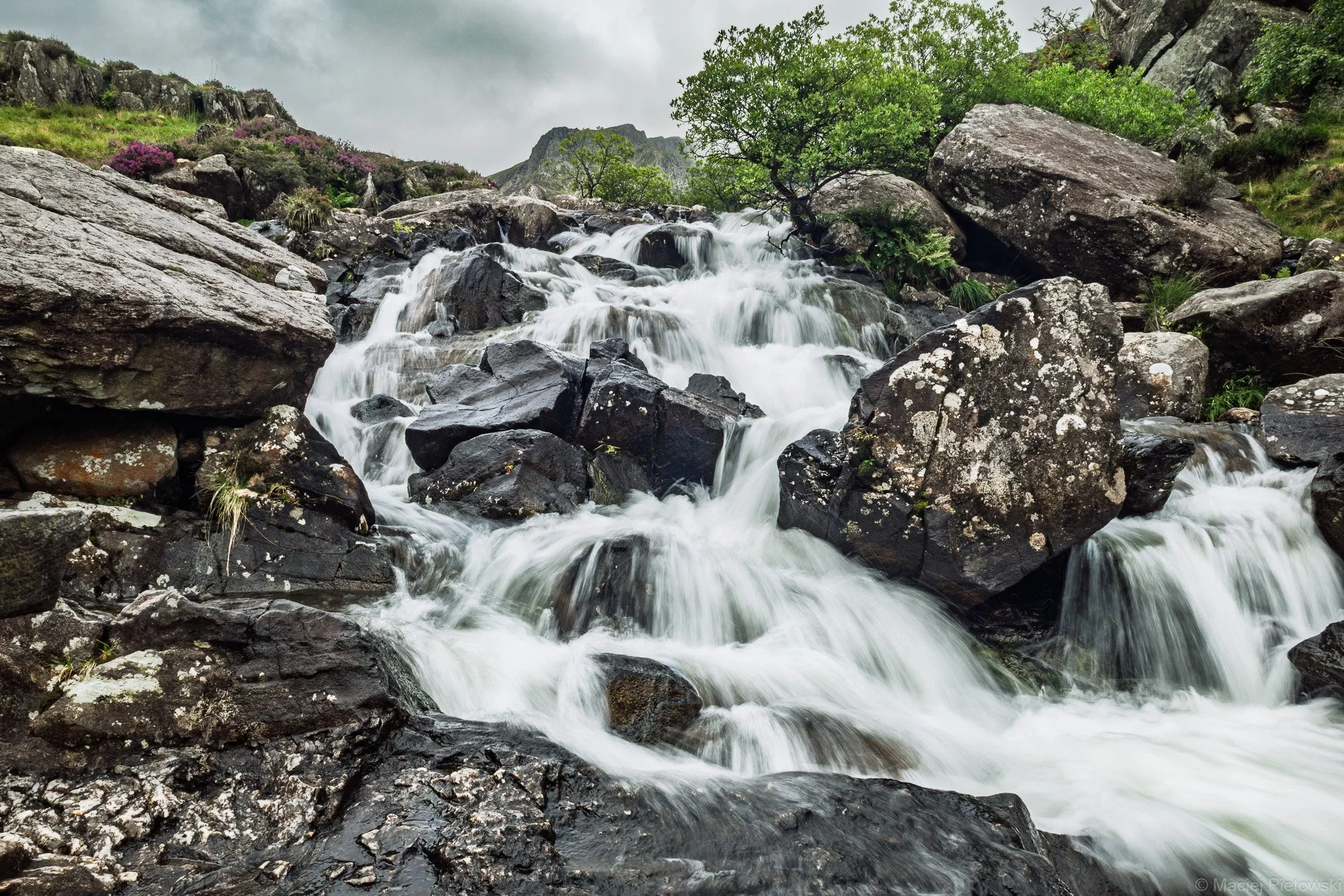 Ogwen Valley, Summer 2020