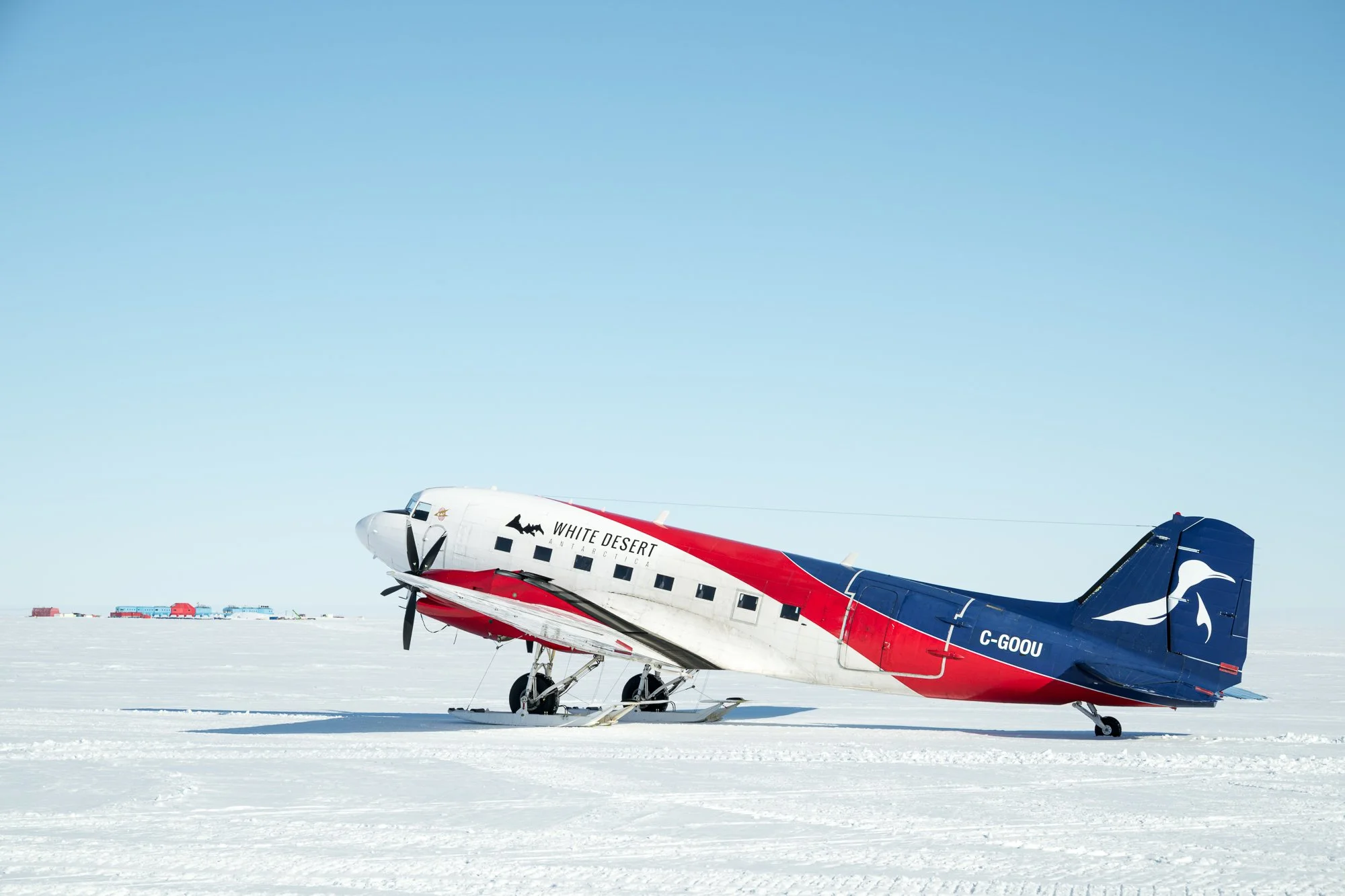 An airplane with the logo 'White Desert Antarctica' on its side, parked on a blank, snow-covered landscape under a clear blue sky.