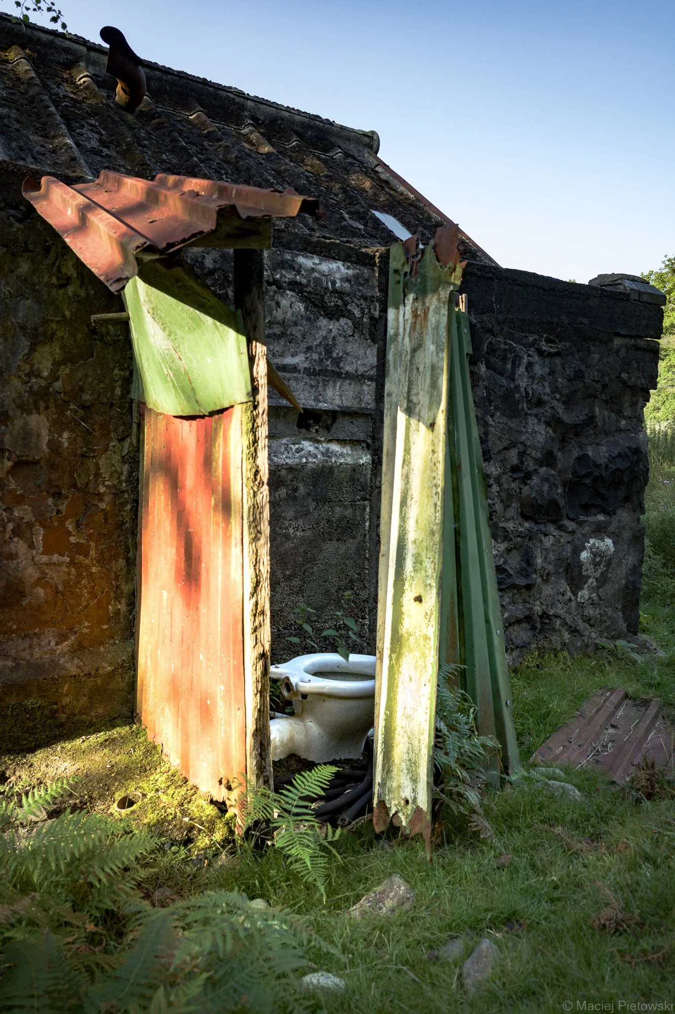 Hafod y Llan, Summer 2020